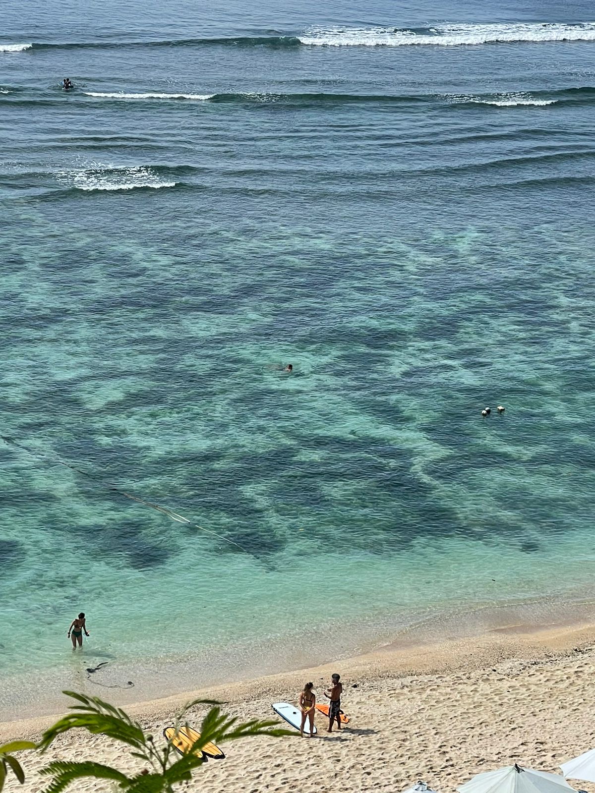 surf trip bali