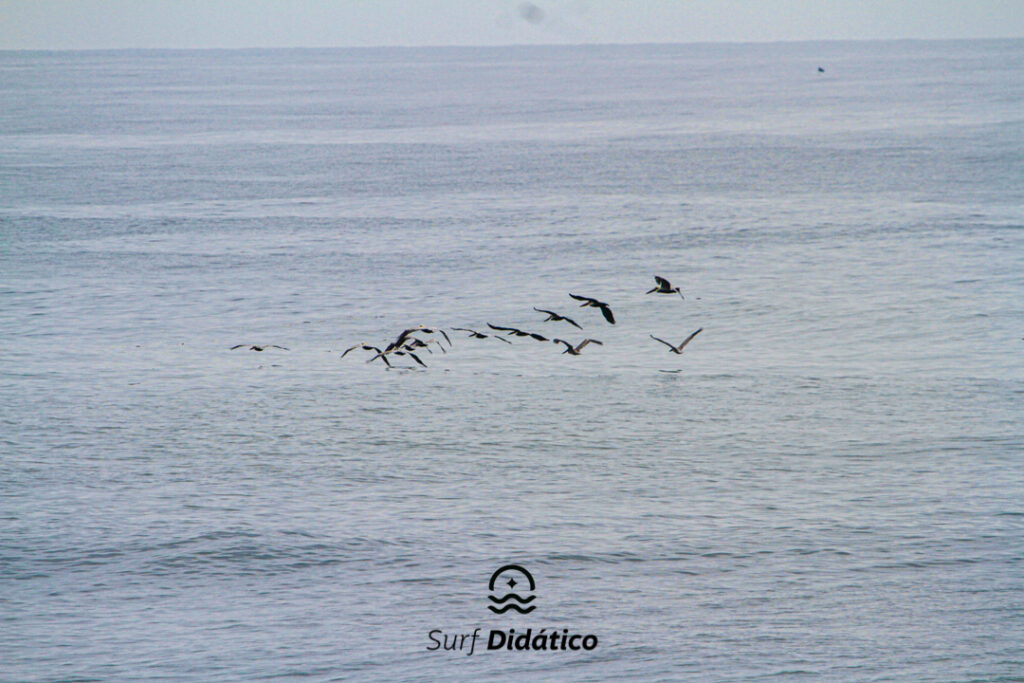 Surf Trip El Salvador